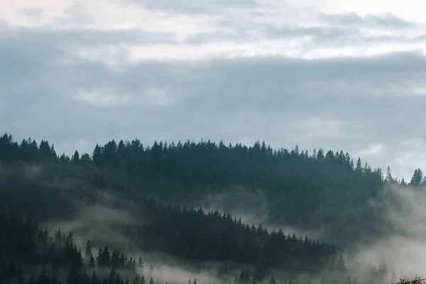 Bellissimo Paesaggio Nebbioso Nelle Montagne Dei Carpazi — Foto Stock