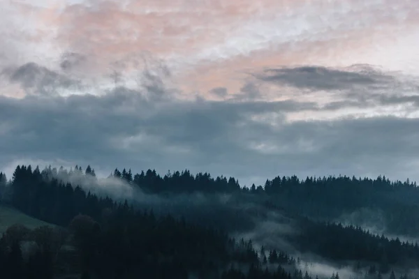 Krásná Mlhavá Krajina Karpat — Stock fotografie