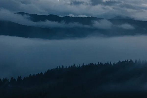 Красивый Туманный Пейзаж Карпатах Сумерках — стоковое фото
