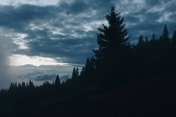 Bela Paisagem Nebulosa Nas Montanhas Dos Cárpatos Entardecer — Fotografia de Stock