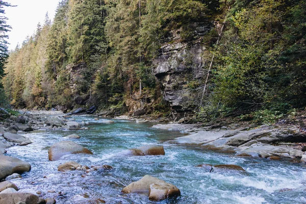 Río Montaña Que Fluye Través Los Pinos —  Fotos de Stock