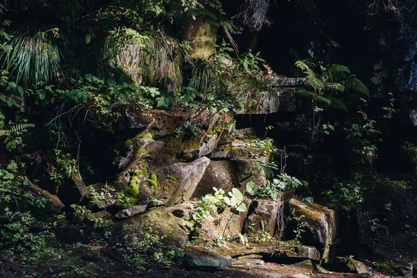 草や植物を持つ山の岩 — ストック写真