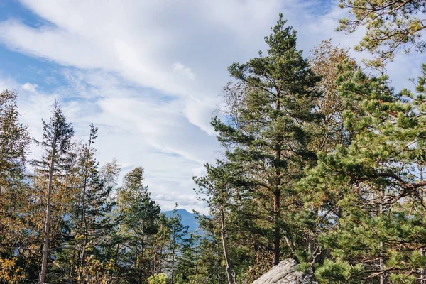 Prachtig Landschap Karpaten Zonnige Dag — Stockfoto