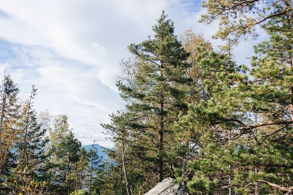 Prachtig Landschap Karpaten Zonnige Dag — Stockfoto