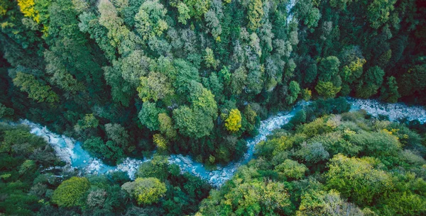 Aerial view of a river and forest in Georgia Royalty Free Stock Photos