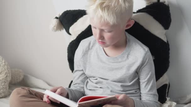A beautiful blonde boy reads a book at home on the couch — Stock Video