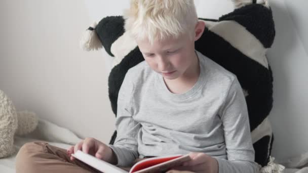 Um adolescente lê um livro em casa no sofá. Bebê albino lê um livro interessante — Vídeo de Stock