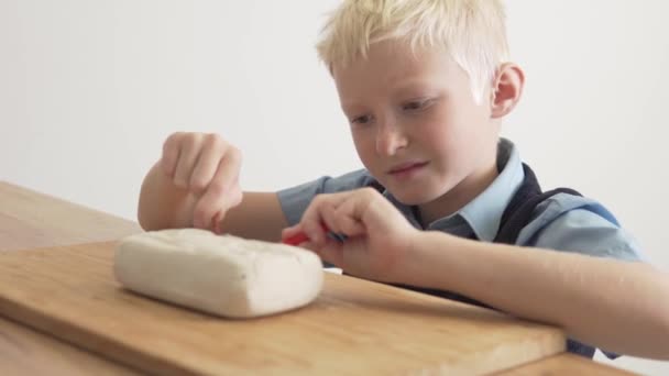 En blond pojke i skolan i en praktisk lektion i arkeologi rengör från sand och damm mini Dinosaurie skelett — Stockvideo