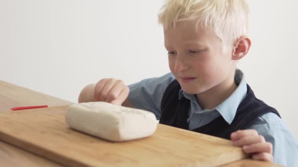 Egy szőke fiú otthon csinálja a biológia házit.. — Stock videók