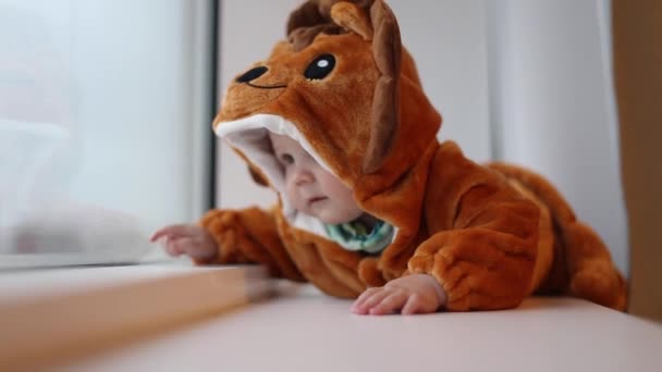 A little kid in a lion costume lies on his stomach by the window and tries to pose — Stock Video