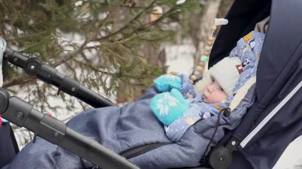 Un niño pequeño en un cochecito en un paseo por el bosque en invierno mira un árbol de Navidad cubierto de nieve — Vídeos de Stock