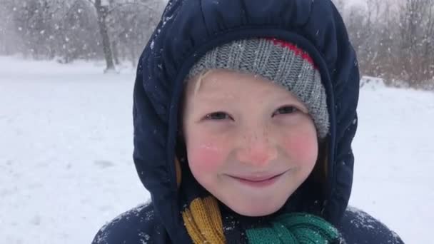冬の公園の散歩で最初の雪の中で美しいルディの少年が喜びます — ストック動画