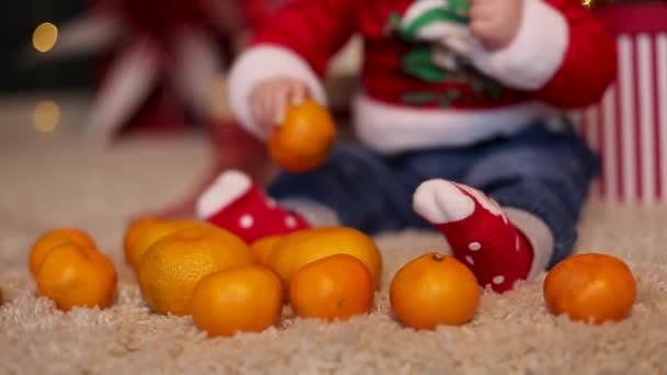 Um monte de tangerinas aos pés de um pequeno garoto inteligente durante uma sessão de fotos para o ano novo — Vídeo de Stock