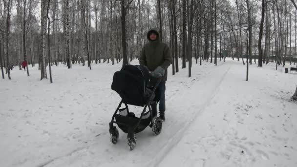 Pappa pumpar ett barn i en barnvagn medan han går i parken på vintern — Stockvideo
