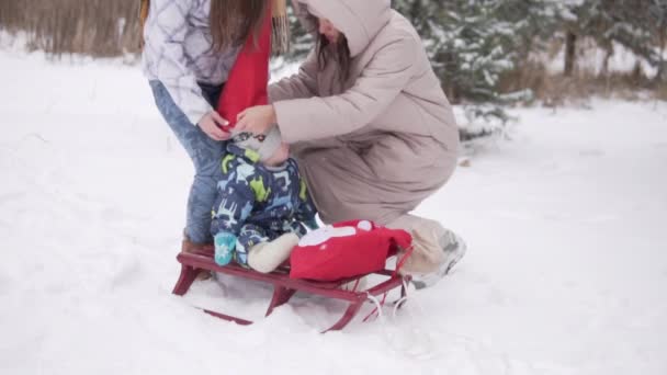 Dos mujeres caminan con un niño en el bosque en invierno, — Vídeos de Stock