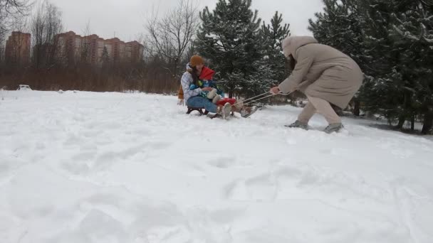 有趣的视频，一个女人试图骑在她的孩子的旧雪橇上 — 图库视频影像