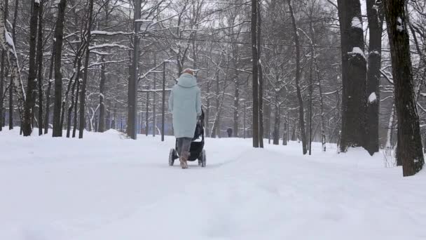Vedere din spate, o femeie poartă un cărucior cu un copil într-un parc de zăpadă — Videoclip de stoc