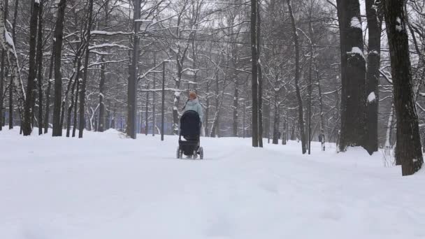 Eine Frau trägt einen Kinderwagen mit einem Kind durch einen verschneiten Wald im kalten Russland — Stockvideo