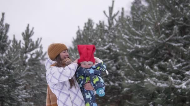 Matka trzyma małe dziecko w ramionach podczas spaceru po parku w śnieżną zimę — Wideo stockowe