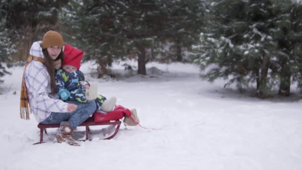 Mamá se sienta con el niño en trineos para niños, en invierno en el bosque nevado — Vídeos de Stock