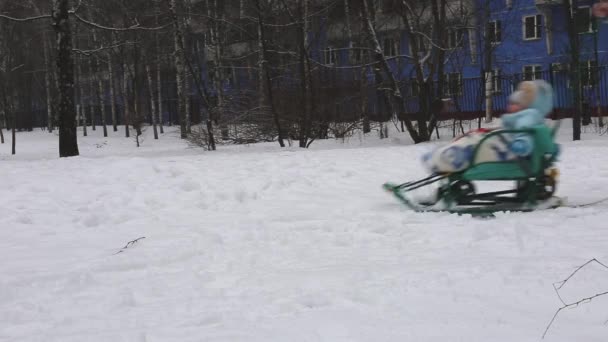 Μια γυναίκα παίρνει ένα παιδί σε ένα έλκηθρο στο χιόνι το χειμώνα στο δρόμο στη Ρωσία — Αρχείο Βίντεο