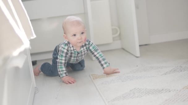 Un băiețel într-o cămașă și blugi se târăște încet pe podea până la jucărie — Videoclip de stoc