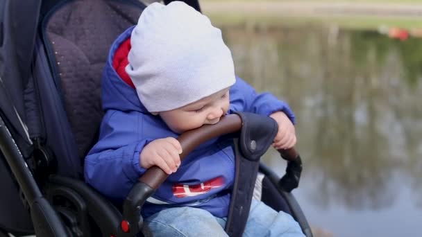 Mignon petit garçon lèche poignée de landau tout en marchant — Video