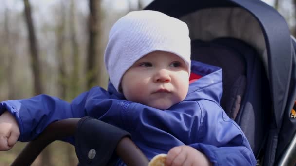 Een klein kind zit in een kinderwagen tijdens een wandeling in het park — Stockvideo