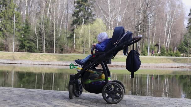 Uma criança pequena senta-se em um carrinho no parque junto à lagoa na primavera — Vídeo de Stock