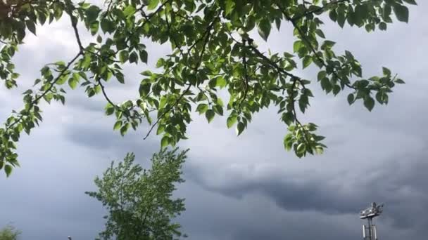 Nublado cielo de verano antes de la lluvia. — Vídeos de Stock