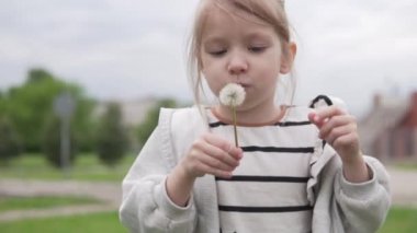 Şirin küçük bir kız karahindibaya üflemiş ve tohumları etrafa saçılmış.