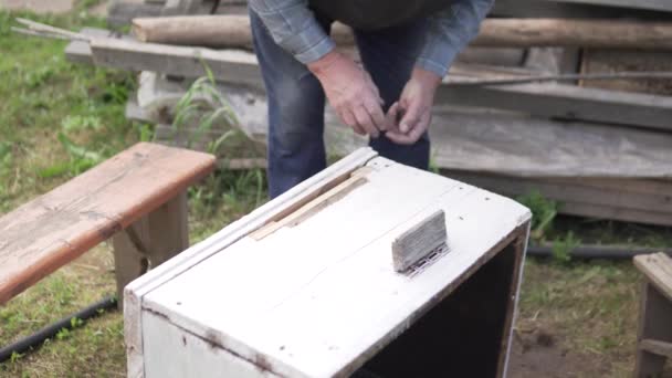 Yaşlı bir adam yazları arazide arılar için ev topluyor. — Stok video