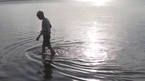 Een jongen loopt op het meer bij zonsondergang in de zomer, een prachtige zonsondergang licht — Stockvideo