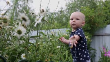 Küçük bir çocuk bahçede bir çiçek koparır ve onu koklar.