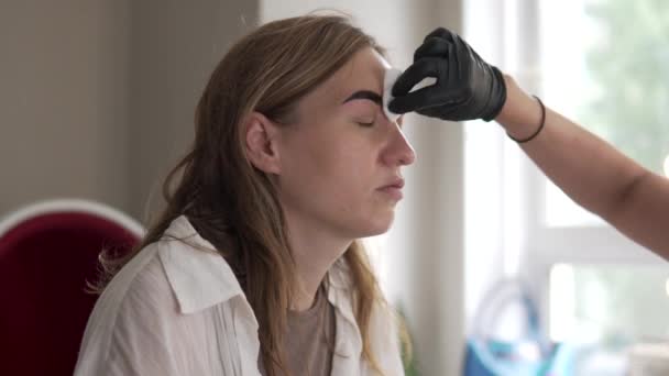 La etapa final de colorear las cejas de una mujer — Vídeos de Stock