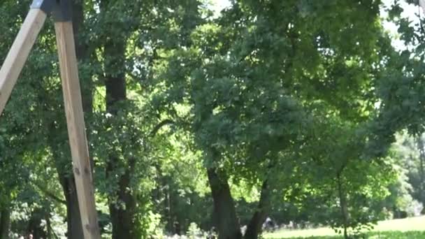 Маленькая девочка быстро и высоко катается на качелях в парке — стоковое видео