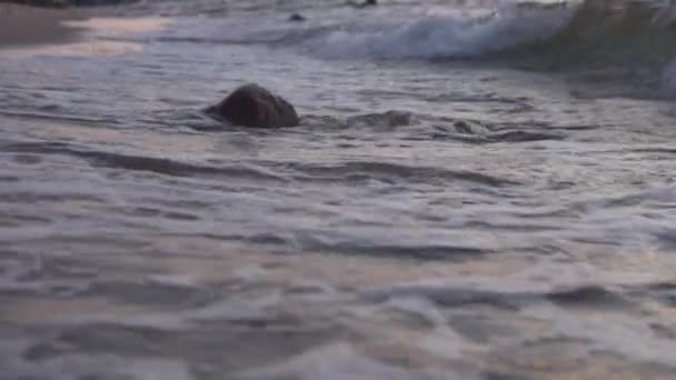 Golven op een zandstrand bij zonsondergang in de zee, slow-motion filmen. — Stockvideo