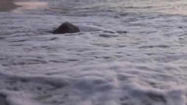 Gün batımında, dalgaların denizdeki yakın çekimi.