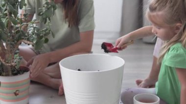 Bir anne ve küçük bir kız evdeki bir saksıyı nakletmek için toprağı hazırlıyorlar.