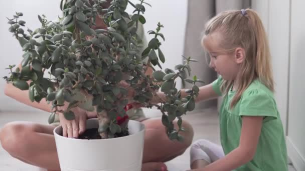 Mãe e menina derramar a terra em um pote de planta de sala — Vídeo de Stock