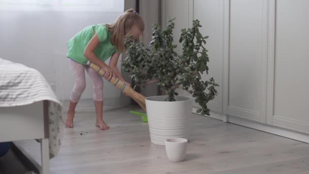 Ένα χαριτωμένο κοριτσάκι σκουπίζει τα πατώματα στο διαμέρισμα με μια σκούπα. — Αρχείο Βίντεο