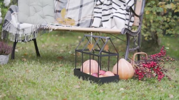 Een prachtige bank in de parken met herfstdecoraties, onder de voeten van pompoenen en gedroogde bloemen — Stockvideo