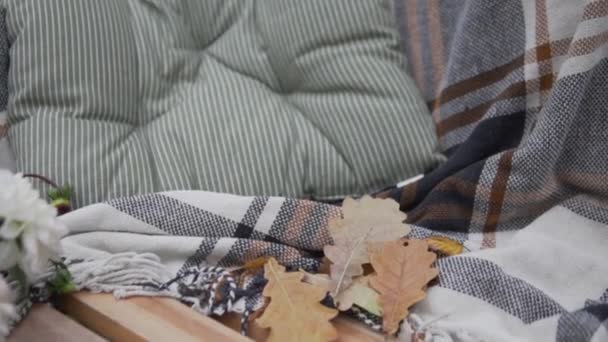 Крупный план, желтые дубовые листья лежат на скамейках с теплым одеялом — стоковое видео