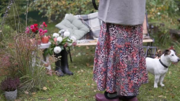 Kobieta wyprowadza swojego psa Jacka Russella w pięknie urządzonym ogrodzie jesienią — Wideo stockowe