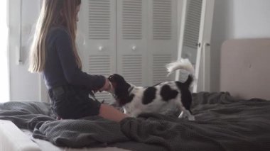 Sarışın kadın, küçük siyah ve beyaz köpek mayoyla oynayan, rahat gri battaniye, Sabah