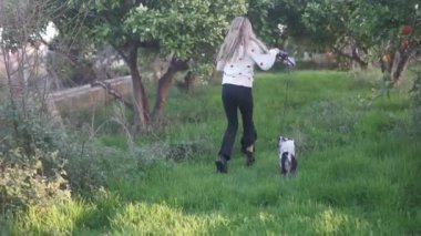 Uzun sarı saçlı bir kız, turuncu bir meyve bahçesinde, süvari köpeği Charles Spaniel ile koşuyor..