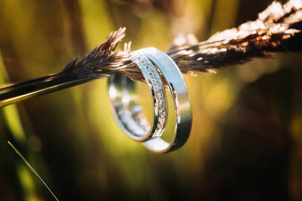 Bellissimi Gioielli Fedi Nuziali Primo Piano Macro Fotografia — Foto Stock