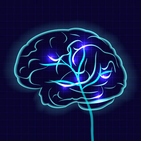 Cerebro humano — Archivo Imágenes Vectoriales