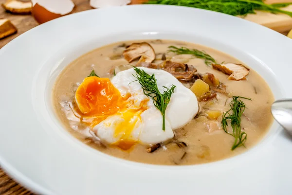 Tschechische Dillsuppe — Stockfoto