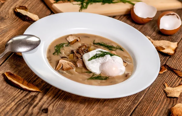 Zuppa di aneto ceca — Foto Stock